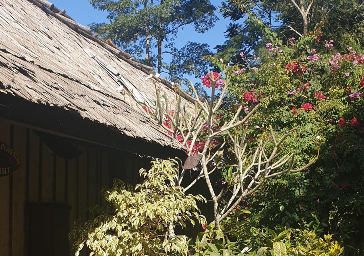 Nong Kiau Riverside Nongkhiaw Exterior foto